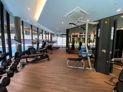 Daintree Residence (D21), Condominium #432203691